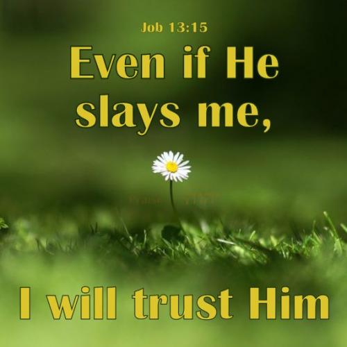 zposted 6 25 21 ebb5f53a282fcdda2d527b20312d0f1e