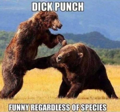 tumblr_824d28fd23ee748a80f4d47ca92a748a_d2c75c7e_540