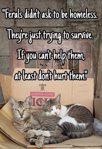 FB_IMG_1623988513899