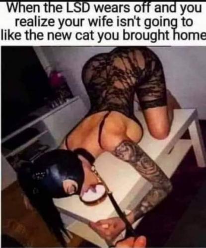 FB_IMG_1624832367160