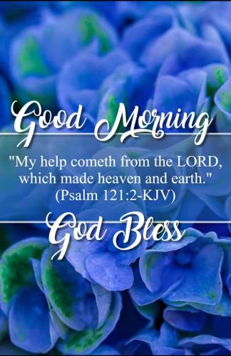 Screenshot_20210616-235617_Gallery