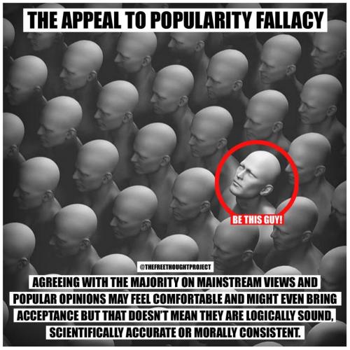 201236825_2569387280035137_3807200075677706985_n