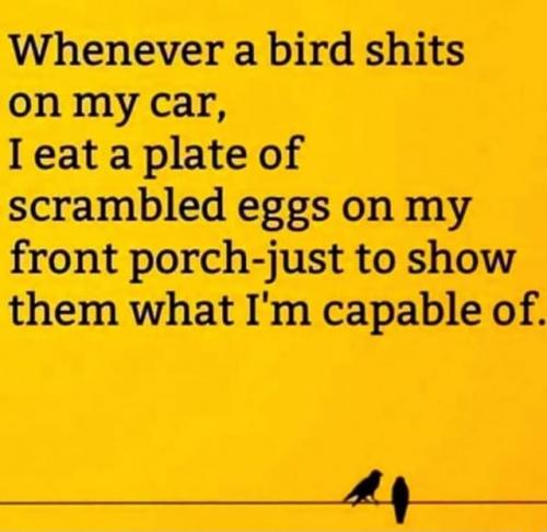 18:50:48 GMT-0400 (EDT)