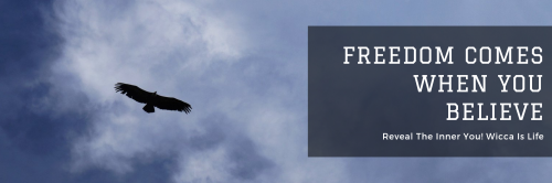 11:48:09 GMT-0400 (EDT).png