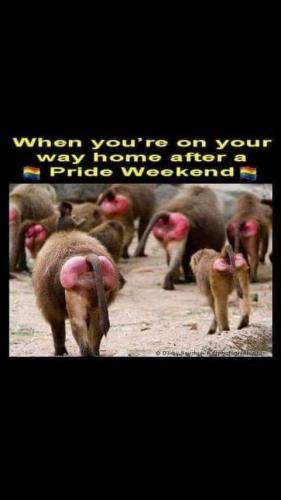 FB_IMG_1625011025187