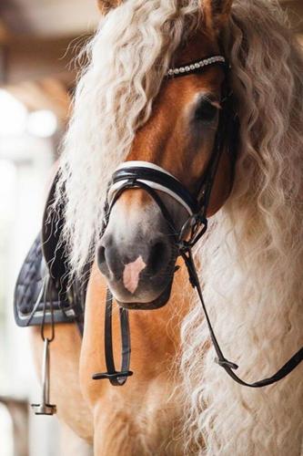 06:21:38 GMT-0500 (CDT)