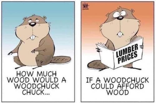 196645104_1159548014546640_8613945141253636218_n