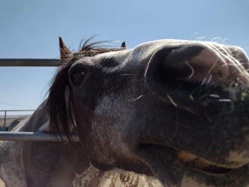 received_344443483724341