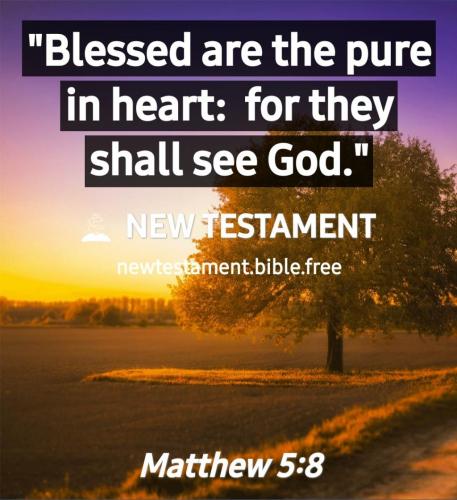 Screenshot_20210620-112400_New Testament Bible free