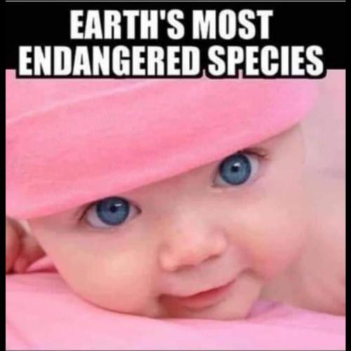 16:36:13 GMT-1000 (HST)