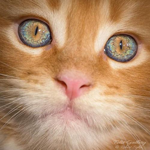 05:45:44 GMT-0500 (CDT)