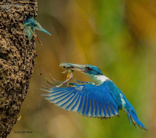 202081778_877196933142644_7557076887476590948_n