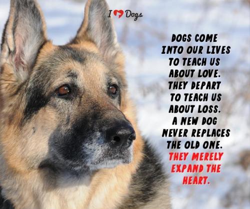 03:41:03 GMT-0700 (PDT).image