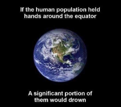 202926036_10214817366466931_5340444845396164758_n