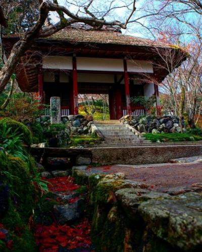 197121657_335162227979786_3798549780238054304_n