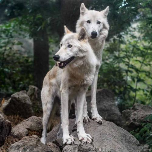 193941905_330148265345873_2269052971540923973_n