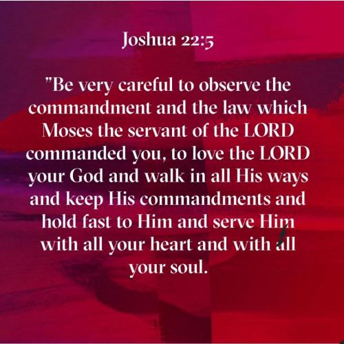 Screenshot_20210627-121528_Bible