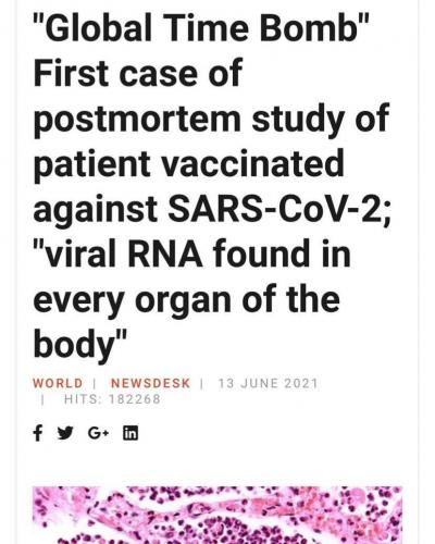 IMG_20210616_140953_621