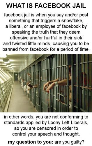 zzjail136