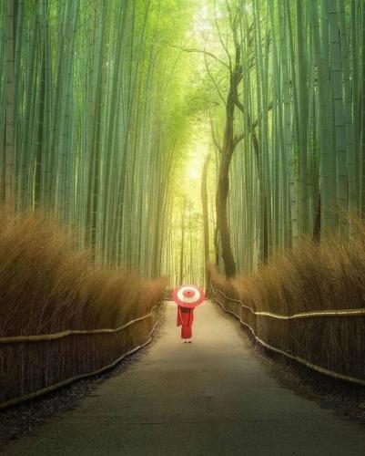 195813619_335373501291992_397814868429369511_n