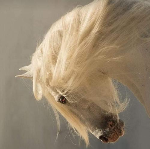 12:40:13 GMT-0500 (CDT)