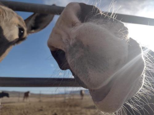 received_172878984676366