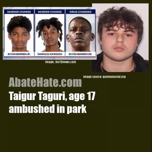 Taigur Taguri, age 17, ambused in park