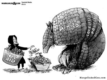 MC_Armadillo_web20210608120307-375x275