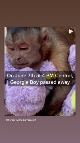 06:16:32 GMT-0400 (EDT).image