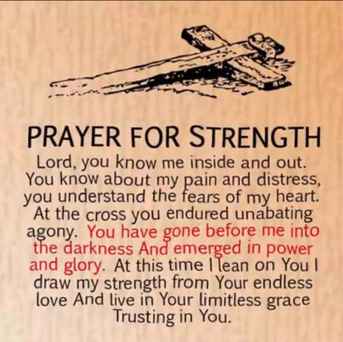 64483969_2849094301984592_4137185620772519936_n