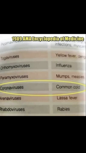 19:52:54 GMT-0400 (EDT).image