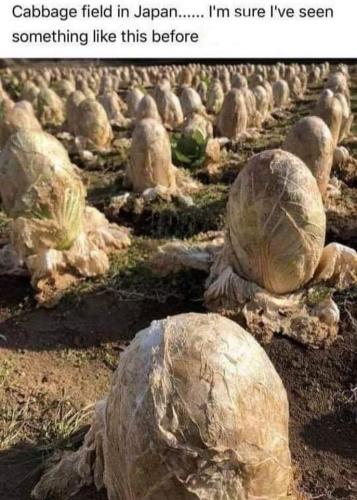 16:48:41 GMT-0500 (CDT)