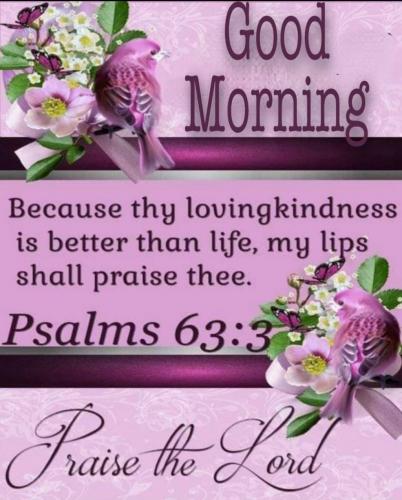 Screenshot_20210626-064032_Gallery