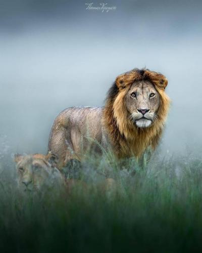 tumblr_a51e87797772688ca9ed3053a5d37bfa_3f5bf6a1_1280