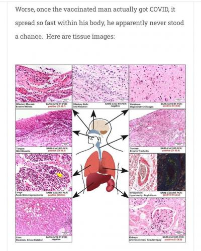 IMG_20210616_141150_604