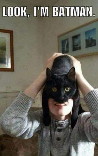 09:17:29 GMT-0500 (CDT)