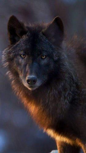 FB_IMG_1625020259366