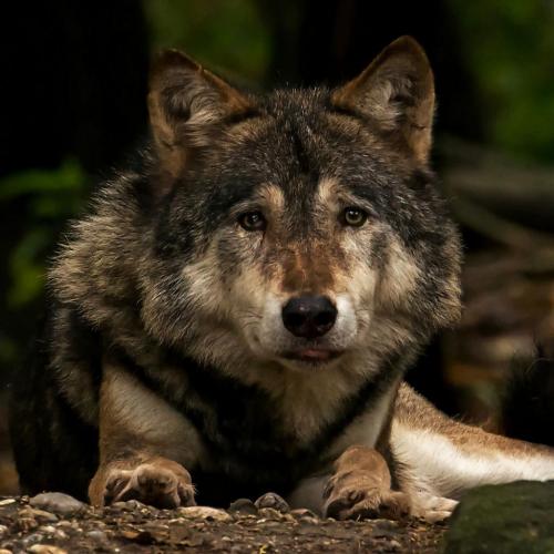 192761768_330182008675832_6417969920092216088_n