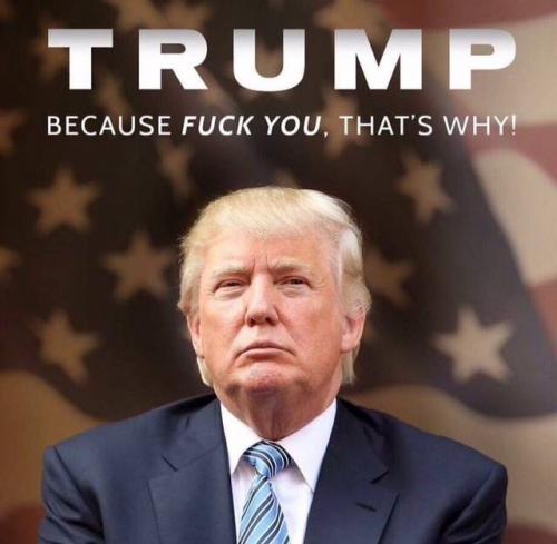 46939403_1230217257128828_1423705641997828096_n