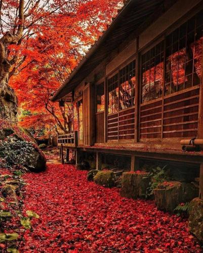 196099162_313027593872787_7307420973511200008_n