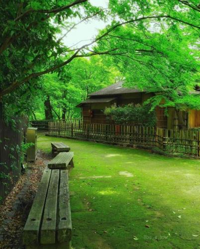 195919598_331100935052582_5689319289993216185_n