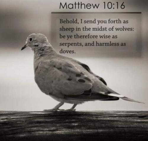 07:11:39 GMT-0500 (CDT)