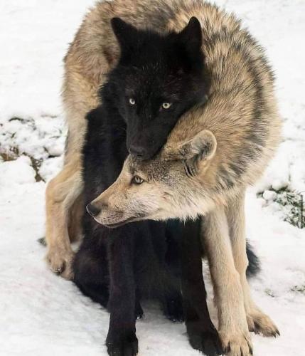 202499870_354423416061338_5800953627861199303_n