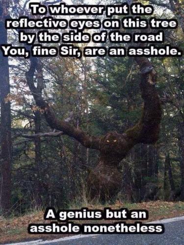 FB_IMG_1623422998571