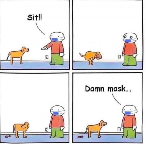 208280485_4327100260686063_1605700689560244843_n