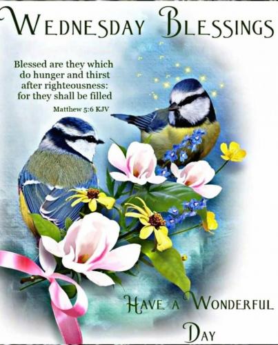 Screenshot_20210616-020254_Gallery