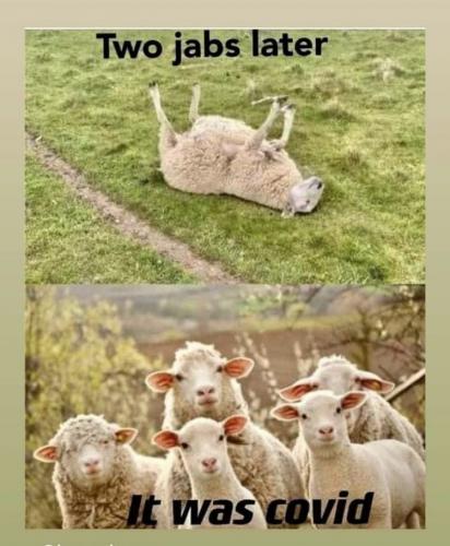 photo_2021-05-03_22-46-01