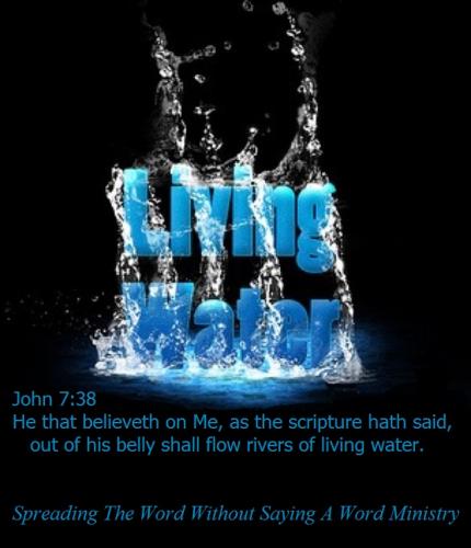 5e8ec5126606a3f469df19520459c769