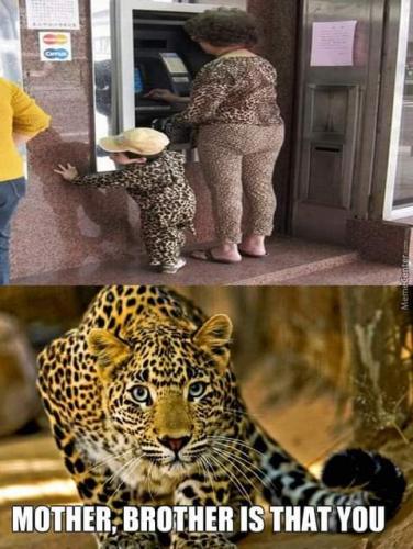 FB_IMG_1623712637988