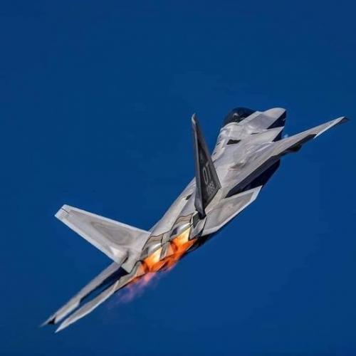 201503932_1407375742951355_3642134980331120552_n